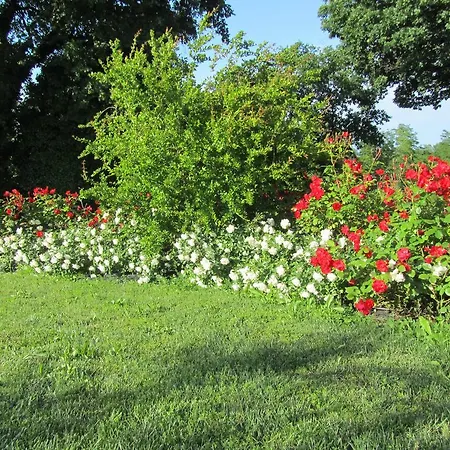 Agriturismo La Vecchia Fonte * Castelbellino