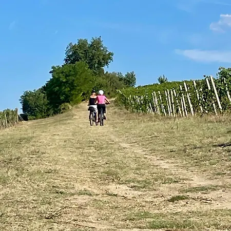 Agriturismo La Vecchia Fonte *